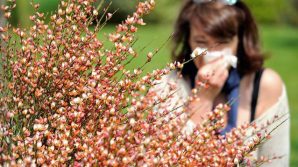Un farmaco per prevenire lo shock anafilattico nei soggetti allergici