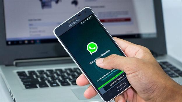 Bug WhatsApp: finiti in Rete 300 mila numeri di telefono