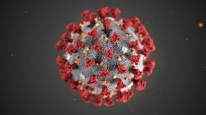 La maggior parte degli infetti non ha trasmesso il coronavirus. Ecco come si è scatenato l’incubo