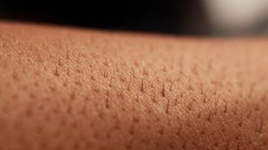 Pelle umana creata in laboratorio a partire da cellule staminali