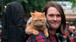 Addio al gatto Bob, protagonista del libro e del film