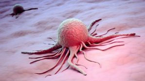 Tumori, creata in laboratorio una proteina che riattiva il sistema immunitario