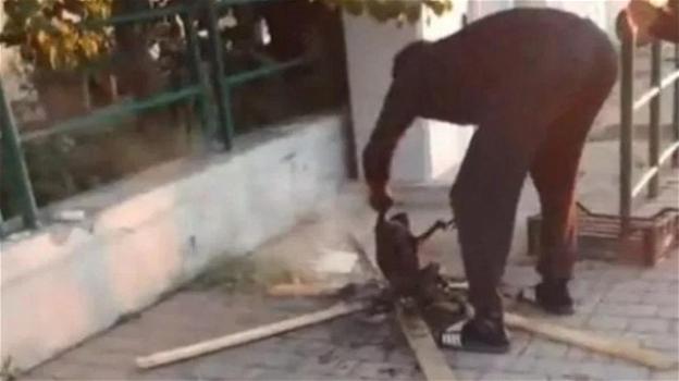 Livorno: cucina un gatto per strada dopo averlo ucciso. Cittadini indignati