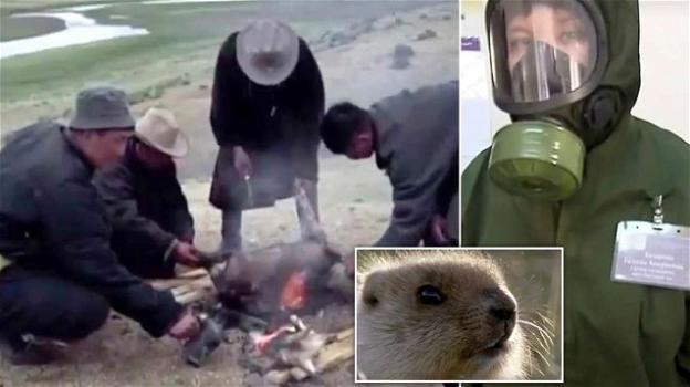 Due casi sospetti di peste nera in Mongolia