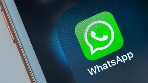 WhatsApp: nuovi stickers animati, assistenza clienti Samsung, integrazione scoperta