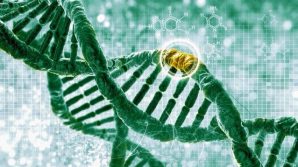 Tumori, con le mutazioni del “gene Jolie” rischiano anche gli uomini