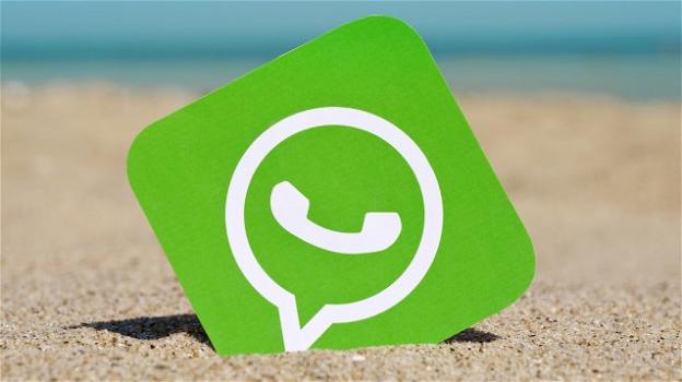WhatsApp: sticker animati per tutti, dark mode su Windows, novità per le aziende