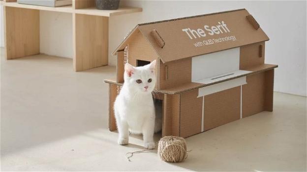 La scatola della TV Samsung diventa una cuccia per gatti