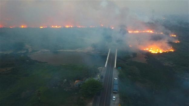 Incendi in Amazzonia: la deforestazione ha raggiunto livelli allarmanti, Bolsonaro incolpa l’Europa