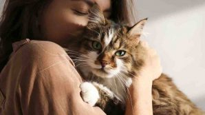Parlare al gatto è un segno distintivo, lo dice la scienza