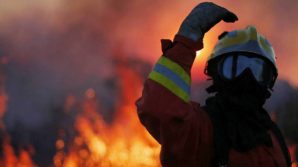 Portogallo, decine di animali morti in un incendio: