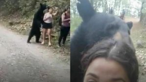 Messico, l’orso la sorprende alle spalle: lei mantiene la calma e scatta un selfie