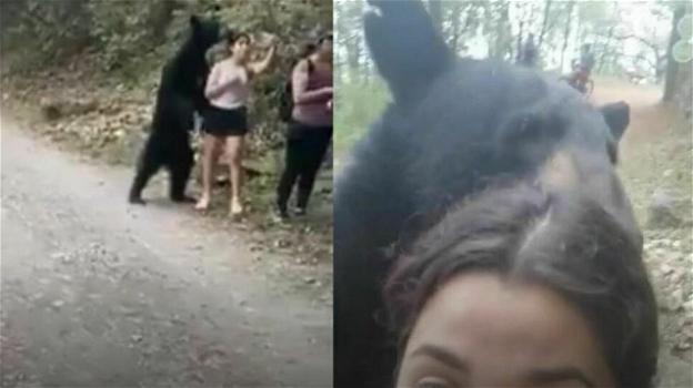 Messico, l’orso la sorprende alle spalle: lei mantiene la calma e scatta  un selfie