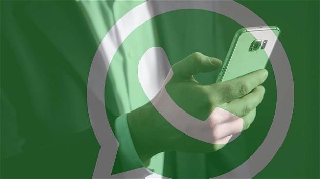 WhatsApp: grandi novità per gli utenti iOS e Android