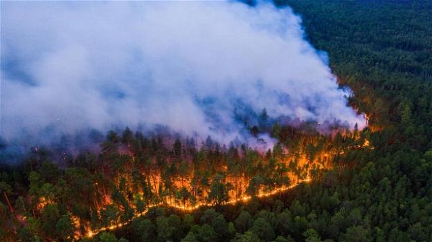 Siberia in fiamme, i cambiamenti climatici colpiscono la Russia