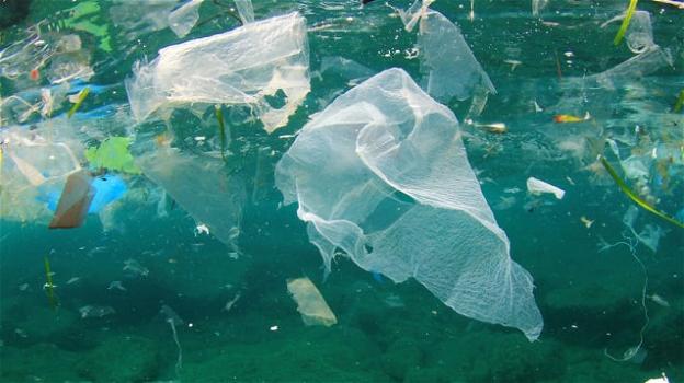 Entro il 2040 potrà triplicare la quantità di plastica gettata negli oceani
