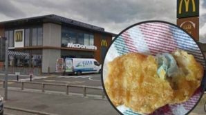 Bambina rischia soffocamento a causa di una mascherina che si trova nella crocchetta di pollo