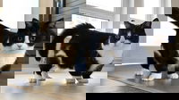 1597313870_5f35134e0a3f5