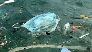 Quantità massicce di guanti e mascherine in mare. L’Adriatico cerca di porre un freno
