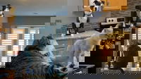 1598448481_5f466360afb0a