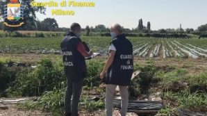 La cascina Pirola di Cassina de Pecchi è sotto sequestro per l’accusa di caporalato