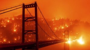 Immagini shock dalla California, sembra l’inferno