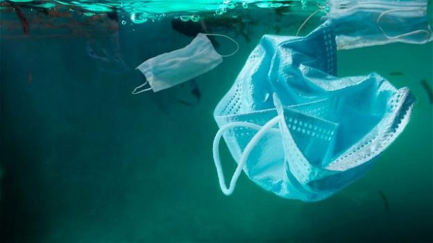 Allarme inquinamento: "In mare ci sono più mascherine che meduse"