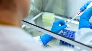 Coronavirus, l’immunità dei pazienti guariti dura solo un mese