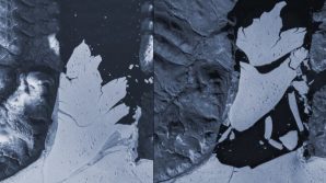 Riscaldamento globale: ghiacciaio grande come Firenze si stacca dalla Groenlandia