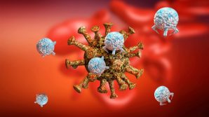 Isolati due superanticorpi capaci di annientare il Coronavirus