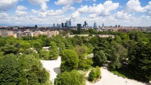 Risolvere il problema dello smog con 10 alberi strategici