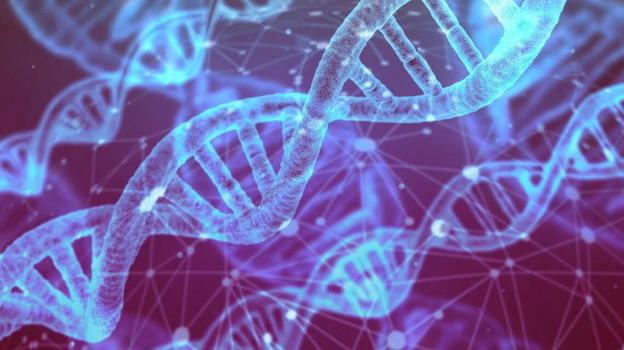 La felicità dipende per il 40% dal nostro DNA