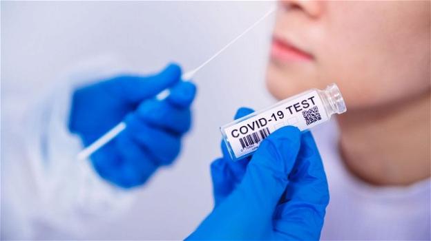 Coronavirus, i dati di oggi 21 novembre: 34.767 nuovi casi e 692 morti