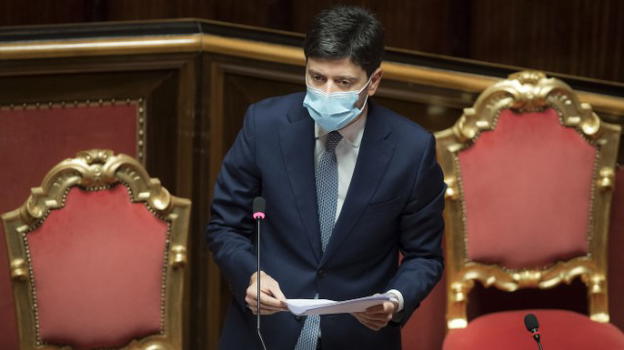 Informativa del Ministro della Salute Speranza al Senato: nuovo Dpcm e vaccini