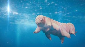 Qual è l’animale che riesce a sopravvivere di più? Scopriamo di chi si tratta