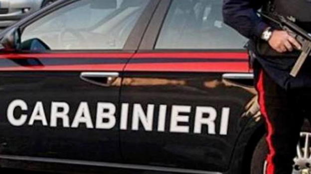 38enne ubriaco picchia i suoi bambini e getta il cane della finestra: l’animale è morto