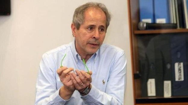 Nuova variante Covid, Andrea Crisanti: "Non sappiamo se i vaccini la coprono"