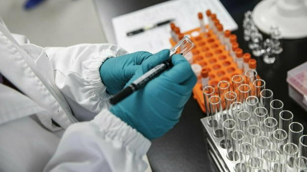 Covid-19, un’altra mutazione del virus trovata in Sud Africa: avrebbe una carica virale molto alta