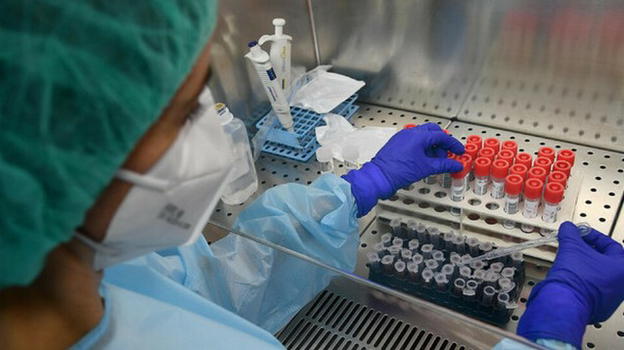 Coronavirus, scoperta anche la variante "italiana": circolerebbe da agosto 2020