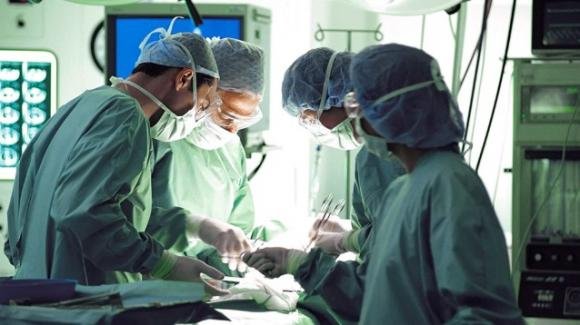 Carla, veterinaria stroncata da un’emorragia cerebrale: i suoi organi salvano 4 vite