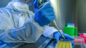 Covid-19: la memoria immunitaria di chi è guarito dura almeno 8 mesi
