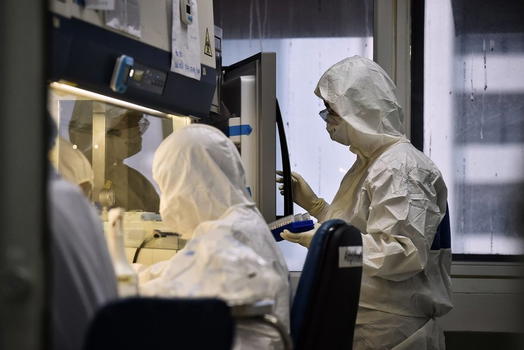 Covid-19, la nuova variante spaventa il mondo: identificata anche in Belgio e Australia