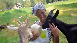 Gregge di Agitu Gudeta rimasto orfano: lanciata raccolta fondi per allevarlo