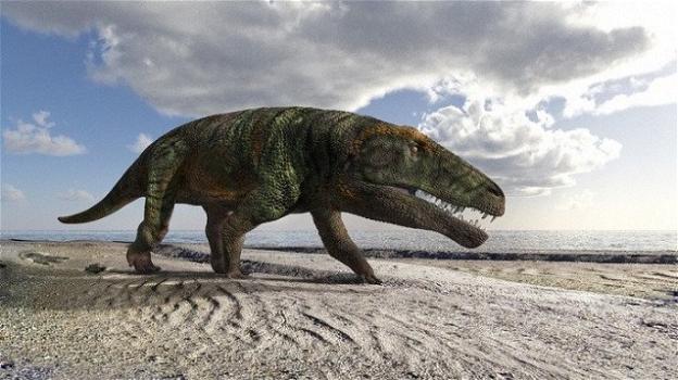 Paleontologi trovano orme del passato appartenenti agli antenati dei coccodrilli