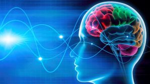 Scoperto nel cervello dei topi il meccanismo che rende la paura contagiosa