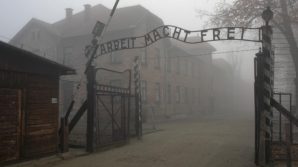 Giornata della Memoria: il ritratto degli ultimi 11 sopravvissuti italiani all’Olocausto