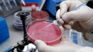 Due nuove mutazioni del coronavirus scoperte in Italia: una a Milano, l’altra a Trieste