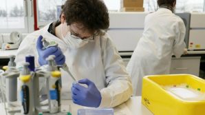 Covid-19, mutazioni continue: in Finlandia trovata nuova variante, è di origine sconosciuta