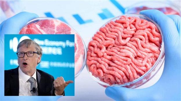 Bill Gates, "Gli abitanti dei Paesi ricchi dovrebbero mangiare solo carne sintetica"