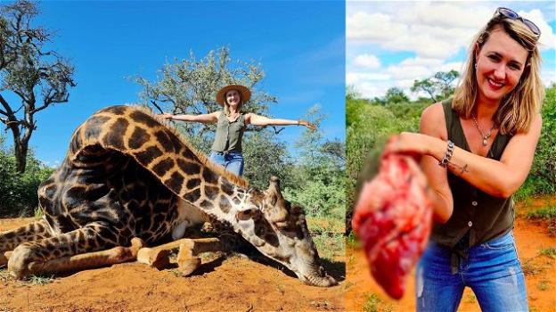 Giraffa uccisa per usare il suo cuore come regalo di San Valentino
